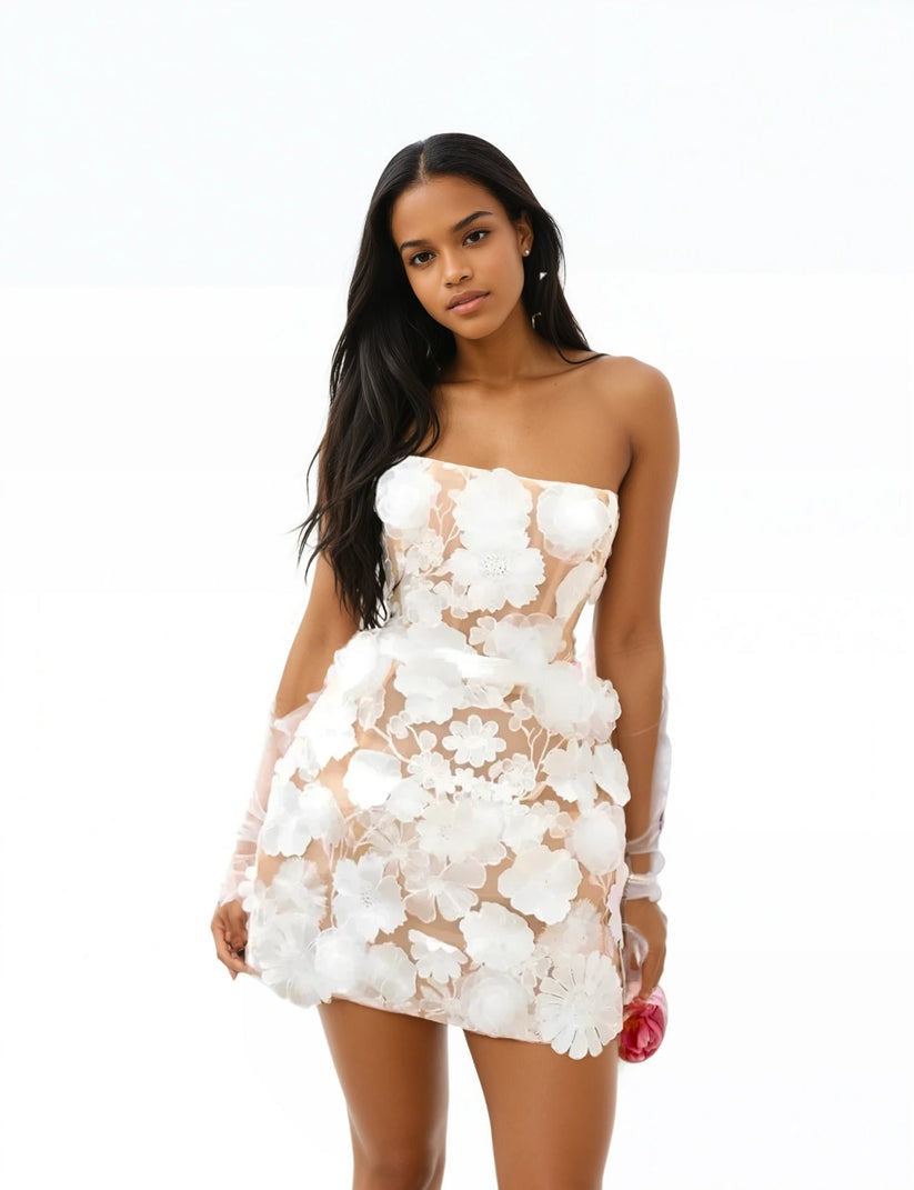 Embroidery Off Shoulder Sleeveless Gauze Floral Mini Dress