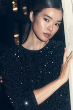 Velvet Sequin Mini Dress