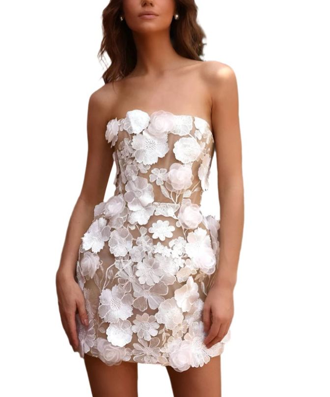 Embroidery Off Shoulder Sleeveless Gauze Floral Mini Dress