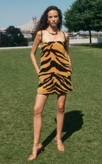 Chenille Tiger Jacquard Mini Dress Animal